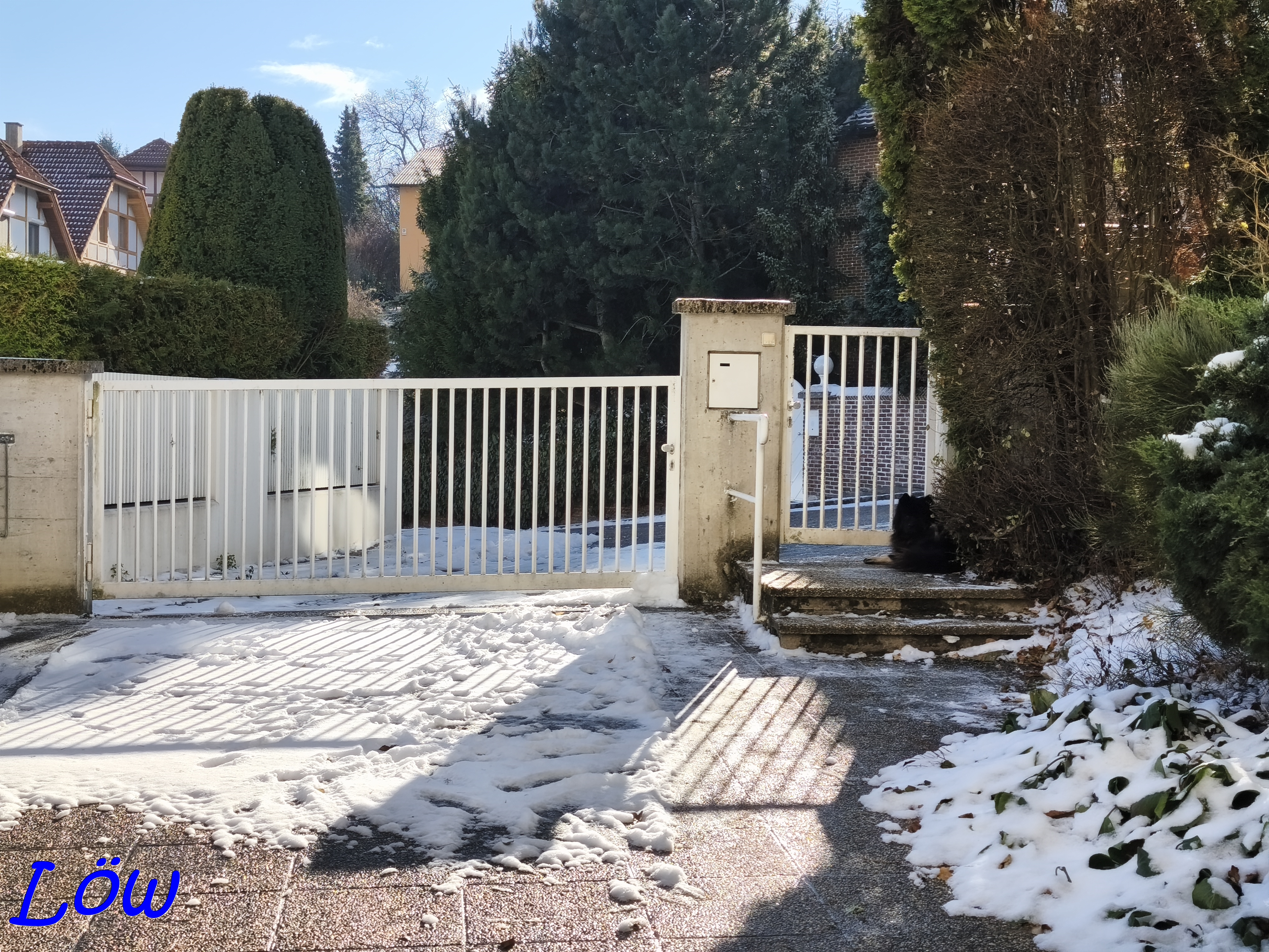 23.11.2025 - Wenig aber doch, Schnee